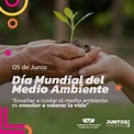 5 de Junio: Día Mundial del Medio Ambiente – Municipalidad de Arroyito