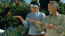 Karate Kid III: Die letzte Entscheidung | Film-Rezensionen.de