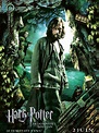 Affiche du film Harry Potter et le Prisonnier d'Azkaban - Photo 38 sur ...