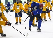 At 15, Las Vegas-area hockey standout’s options abound | Las Vegas ...