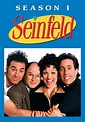 Seinfeld temporada 1 - Ver todos los episodios online