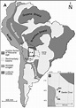 1: (A) Geological map of South America showing the major geological ...