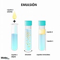 Emulsión química: características, fases, tipos, ejemplos