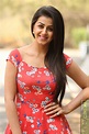 Actress Nikki Galrani Latest Photoshoot - Gethu Cinema