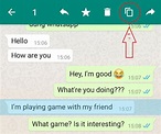 How To Copy Paste WhatsApp Message: Step-By-Step Guidelines - MobyGeek.com