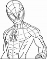 Dibujos de spiderman - Dibujos colorear spiderman (2022)