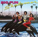 Shalamar - Big Fun (1979, Vinyl) | Discogs