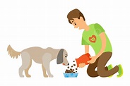 Voluntario Alimentando A Un Perro Sin Hogar Con Un Vector De Comida ...
