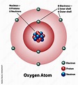 Diagram of an oxygen atom with nucleus and inner and outer shells ...
