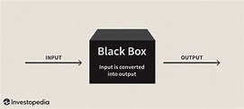 What Is a Black Box Model? Definition, Uses, and Examples (2023)