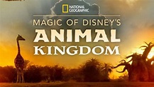 Magic of Disney’s Animal Kingdom | Official Trailer | Disney+ - FSM Media