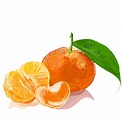 Illustration: Tangerine - Mandarina :: Behance