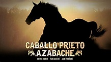 Watch 'Caballo prieto azabache' Online Streaming (Full Movie) | PlayPilot