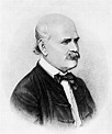 File:Ignaz Semmelweis.jpg - Wikimedia Commons