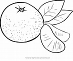 Drawing tangerines coloring page