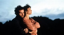 Ver Hasta la noche, mi amor (1990) Online en Español y Latino - Cuevana 3