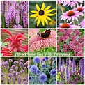 Attract Butterflies with these 12 Perennials! | Perennials, Attract ...