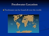 PPT - Freshwater Biome PowerPoint Presentation, free download - ID:341302