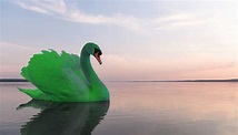 El cisne verde - Por Clara López Obregón - NODAL