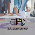 Educación Continua - Facultad de Artes y Diseño