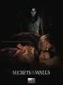 Secrets in the Walls (Movie, 2010) - MovieMeter.com