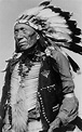 Nicholas Black Elk: Prophet to Lakota a sign of hope today – Catholic ...