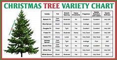 Norway Spruce Growth Rate Chart