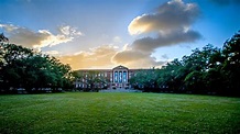 Undergraduate Studies | Dean's Office | School of Liberal Arts Tulane ...