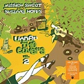 Under The Covers Vol. 2 Limited Green 180gram Heavyweight 2LP Set ...