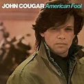 John Cougar Mellencamp (American Fool) Album Cover POSTER - Lost Posters