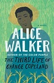 The Third Life of Grange Copeland by Alice Walker, Paperback | Barnes ...