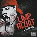 Limp Bizkit - Collected (2008) at The Last Disaster