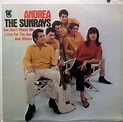 The Sunrays - Andrea | Releases, Reviews, Credits | Discogs