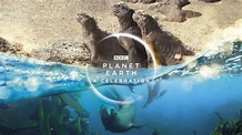 Planet Earth: A Celebration: What to expect from tonight's documentary ...