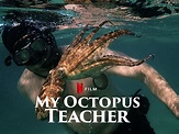"Mi maestro el pulpo", documental ganador del Oscar | Entretenimiento