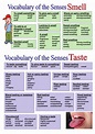 Vocabulary of the Senses - Smell and Taste by imwells - Teaching ...