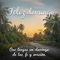 +40 Imágenes Feliz Domingo ☀️ » Imágenes de Buenos Días