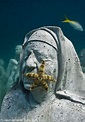英國藝術家泰勒 海底奇幻展覽 | 宅宅新聞