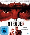 The Intruder - Horrorfilme der 2010er - Forum für Filme, Game, Serien ...