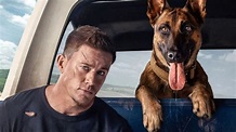 Channing Tatum ist auf den Hund gekommen: Herrlicher Trailer zur Buddy ...