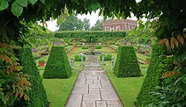 Hampton Court Palace gardens reopen for walks - take a sneak peek ...