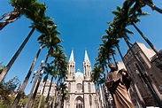 Die 10 besten Sehenswürdigkeiten in São Paulo | Skyscanner Deutschland