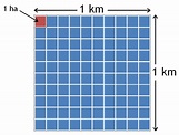 Illustration d'une surface d'un kilomètre carré, représentée par un ...