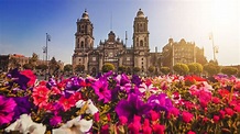 Mexico City: what to do and what to visit in and around Mexico City