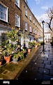 Town houses in Fitzrovia, London, United Kingdom Stock Photo - Alamy