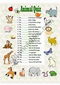 Animal Quiz - ESL worksheet by Anna P