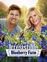 All You Like | The Irresistible Blueberry Farm (2016) 720p WEB-DL AC3 x264