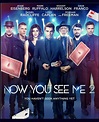 Now You See Me 2 (2016) Hindi PGS Subtitle - Hindi PGS Subtitle