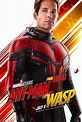 ANT-MAN AND THE WASP Character Posters | SEAT42F