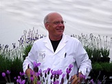 Dr. Lavender's Guide to Growing Lavender | Flower Magazine